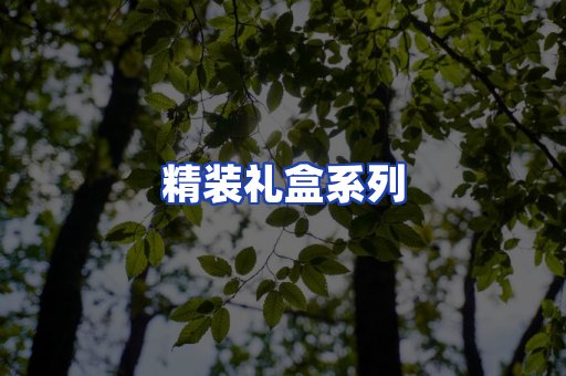 精装礼盒系列